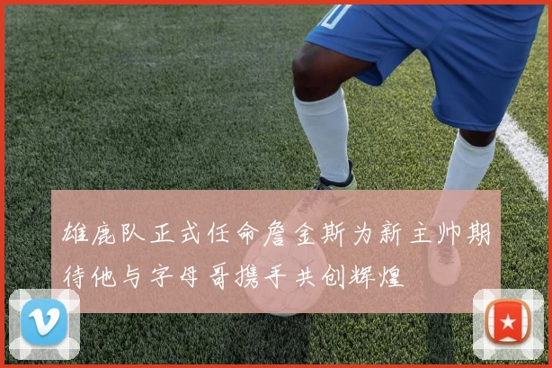 雄鹿队正式任命詹金斯为新主帅期待他与字母哥携手共创辉煌